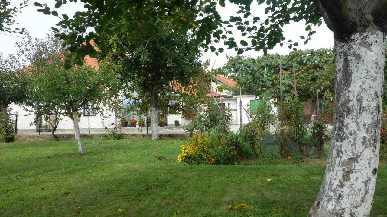 Apartment Mia Donja Pacetina Exterior foto