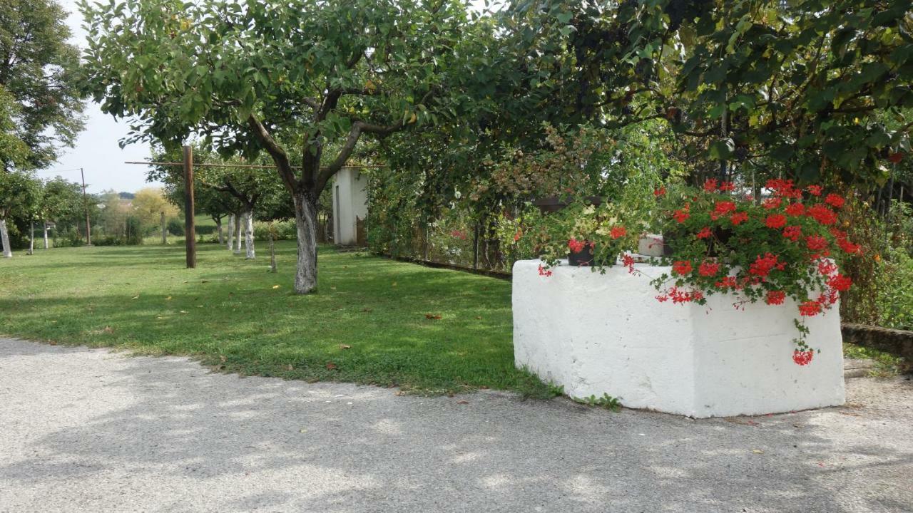 Apartment Mia Donja Pacetina Exterior foto
