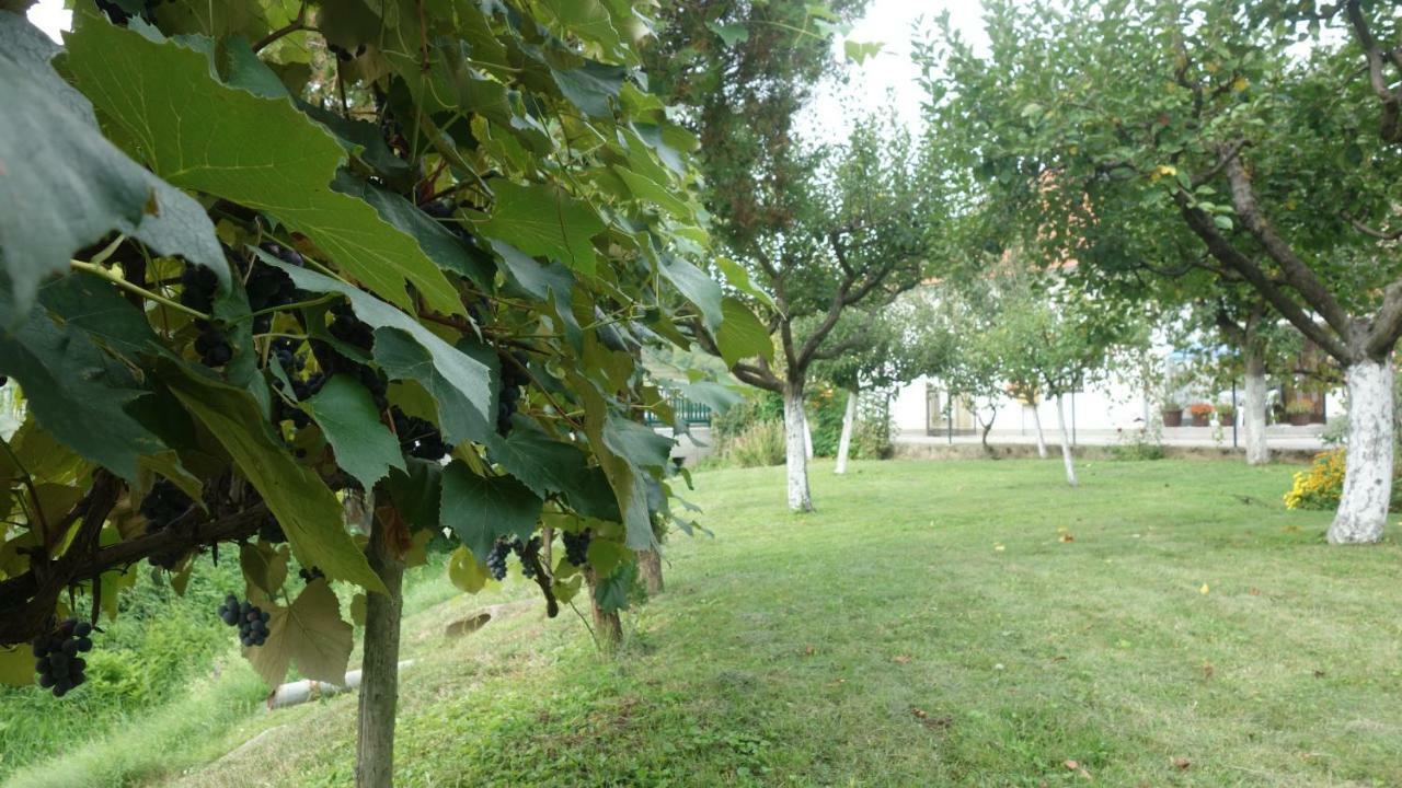 Apartment Mia Donja Pacetina Exterior foto