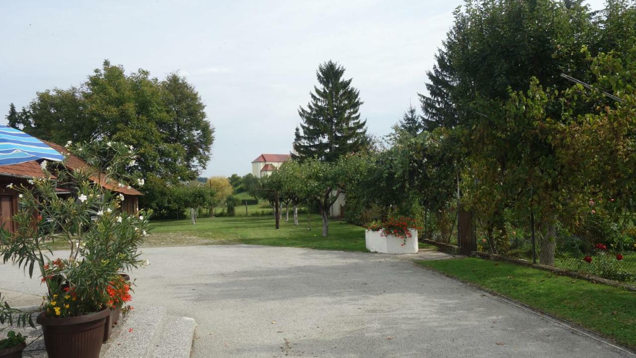 Apartment Mia Donja Pacetina Exterior foto